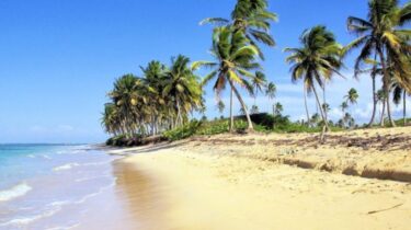 Dominica Island, more of a discovery than a vacation